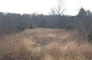2nd image of N Diamond Blvd