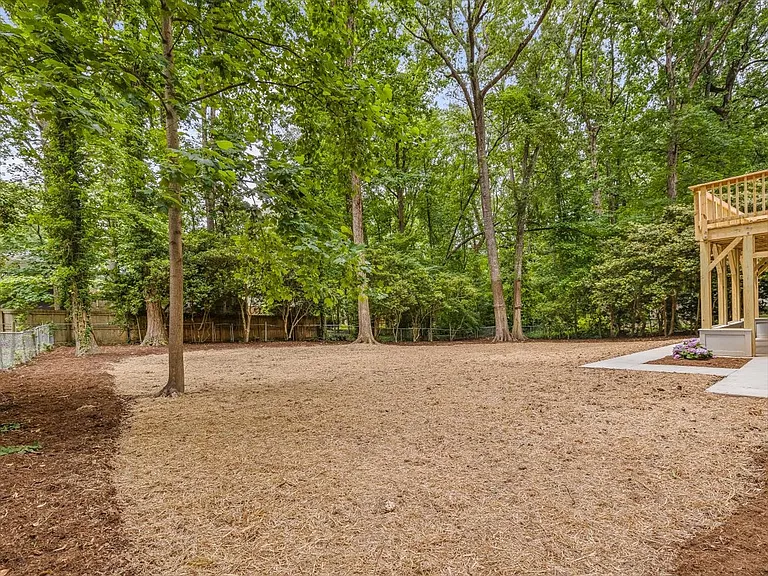 Large Backyard