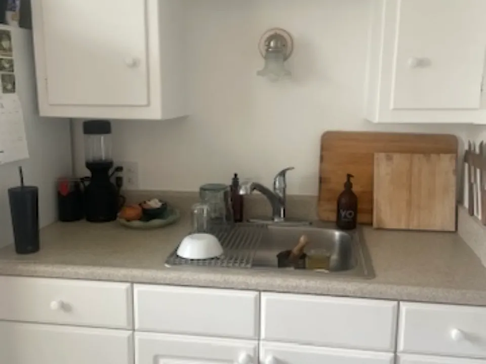 1500 Laguna St