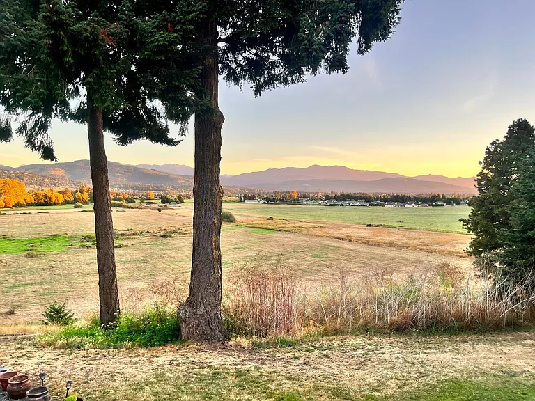 backyard view