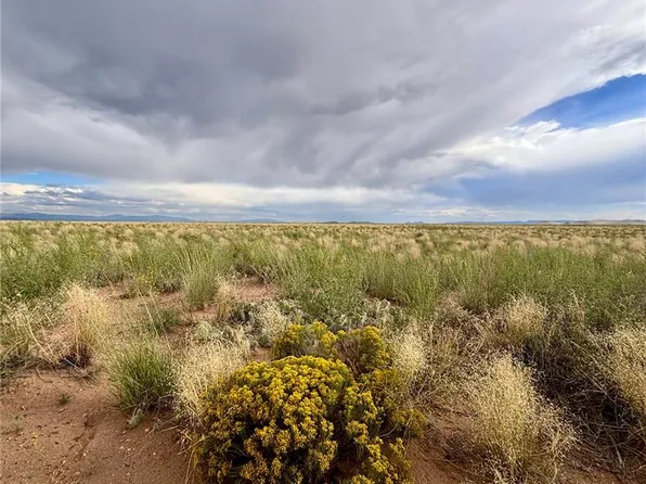 TBD Estrella Road LOT 13, Blanca, CO 81153