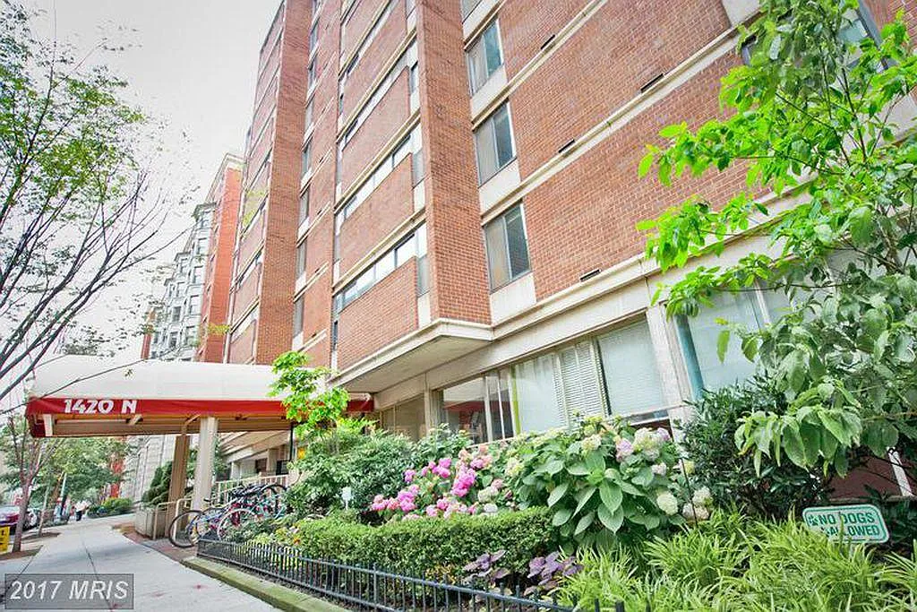 Studio, 450 sqft, $1,900 — Photo 2