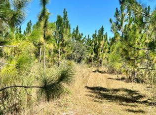 0 NE Hickory Grove Rd, Pinetta, FL 32350