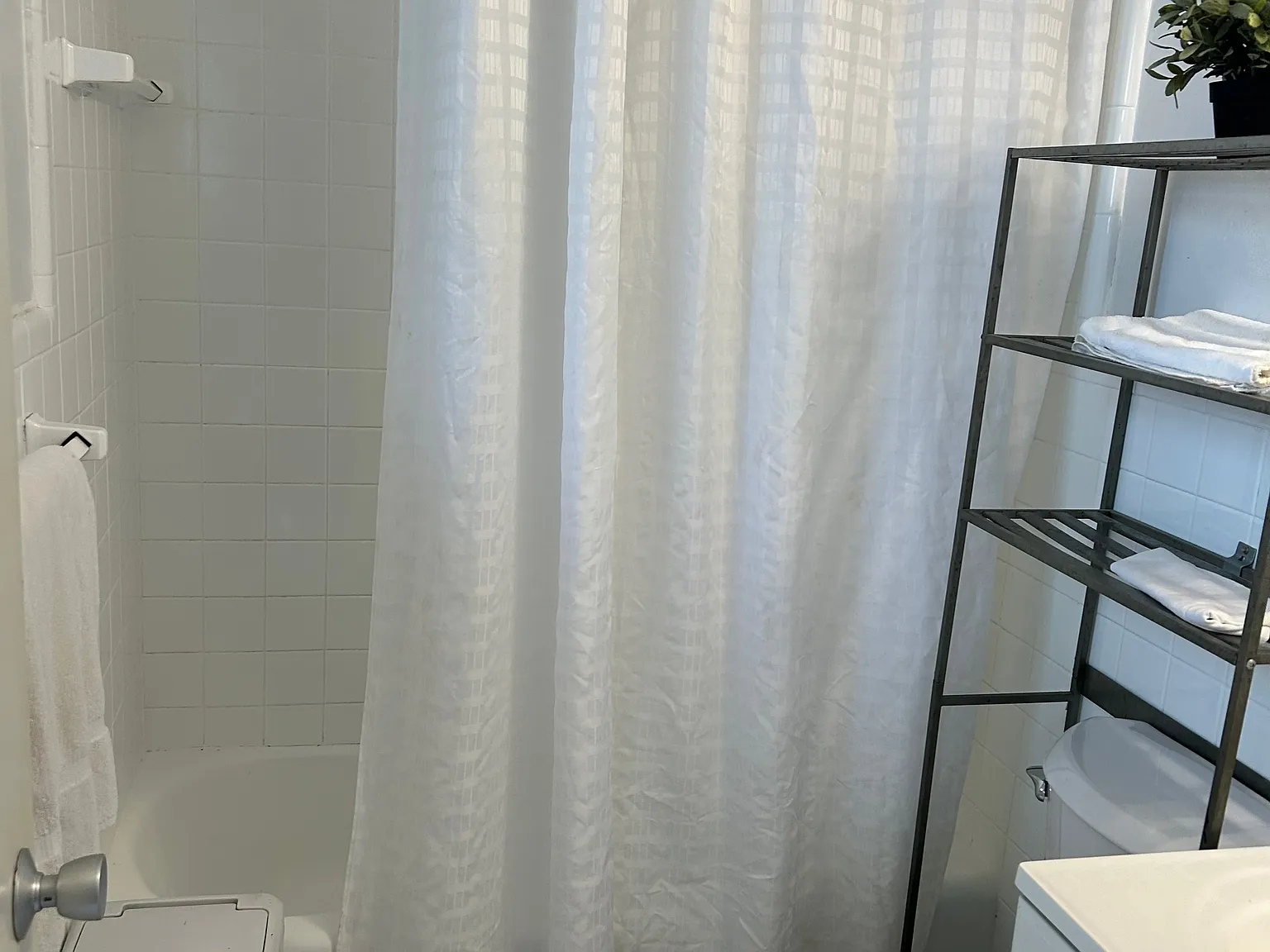Studio, $1,175 — Photo 2