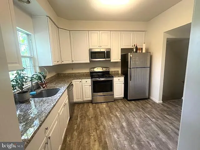2028 Madrillon Springs Ct — Photo 10