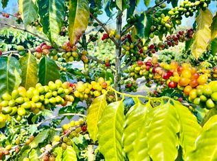 Road 4 Kea #IO, Kurtistown, HI 96760