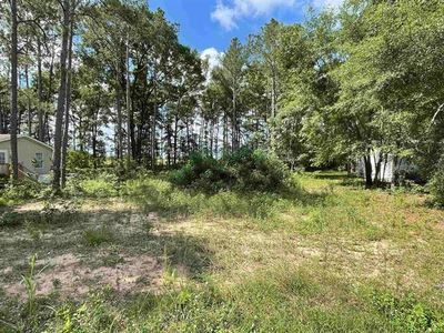 2627 Pinenoll Dr, Tallahassee, FL, 32305