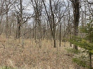 2nd image of 4013 Panorama Dr