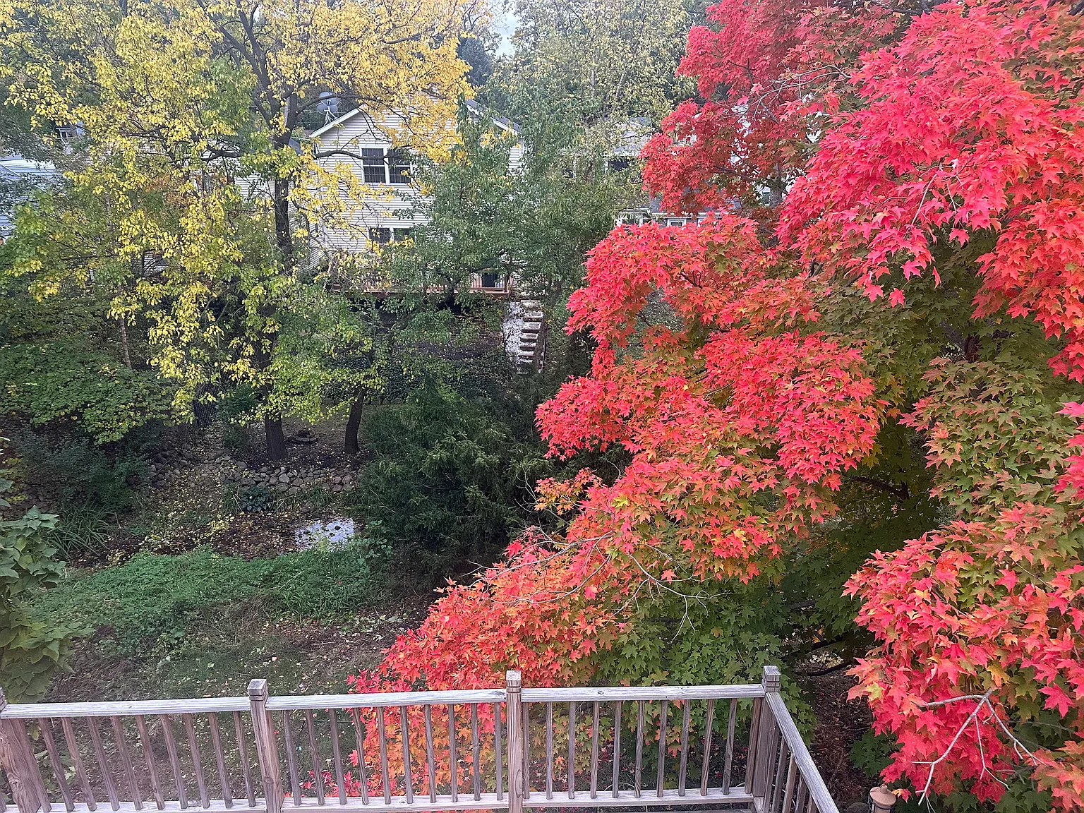 2 bed, 1631 sqft, $2,600 — Photo 2