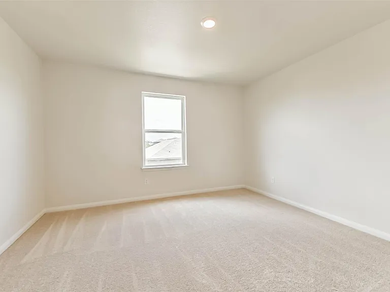 1123 Rare Fancy Dr — Photo 23