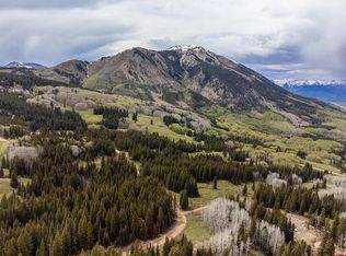 1250 Red Mountain Ranch Upper Loop, Crested Butte, CO 81224
