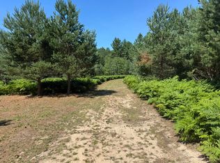 N Coates Hwy, Harrietta, MI 49638