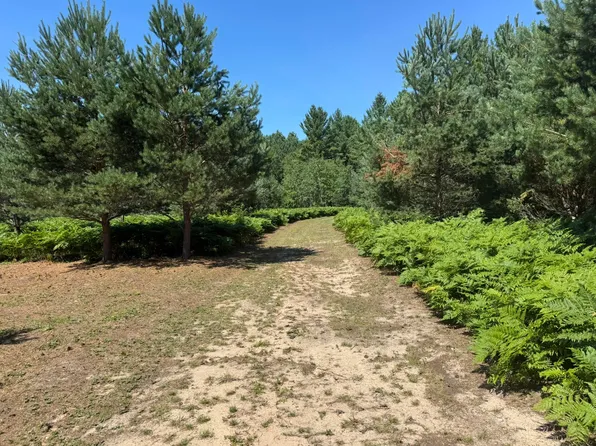 N Coates Hwy, Harrietta, MI 49638