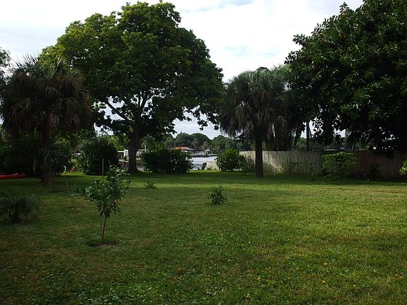 Huge, shady back yard