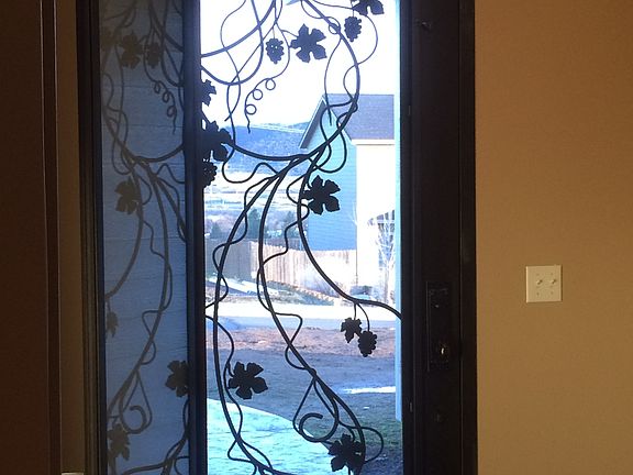 Iron door with screen