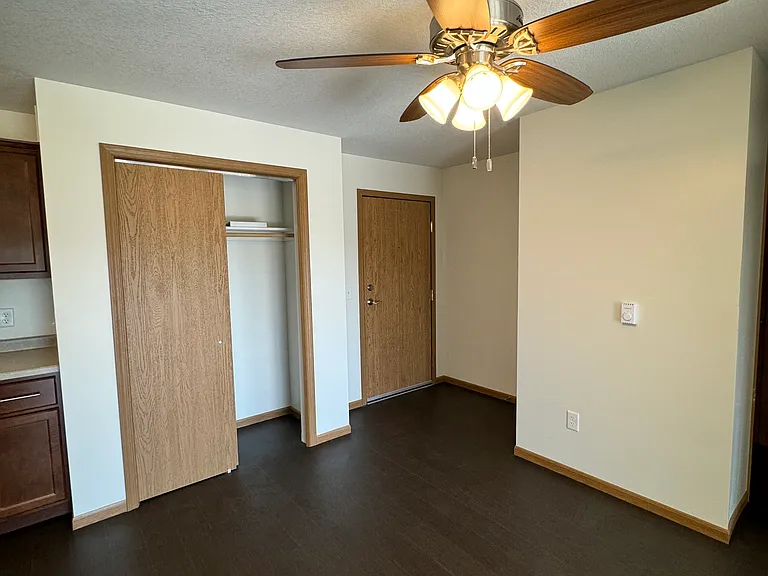 Entrance Closet