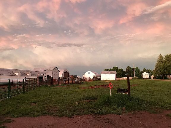 Barn and Loafing Shed 