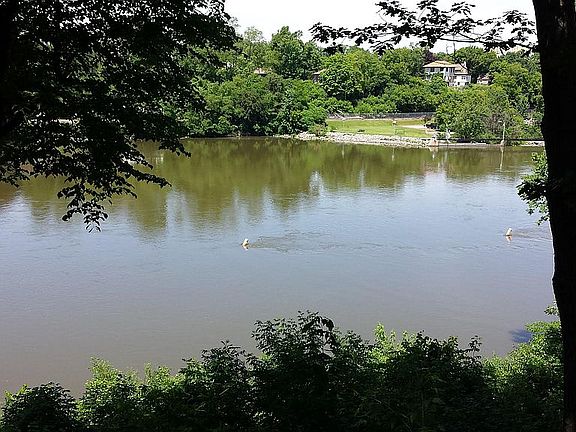 Back yard on Fox River