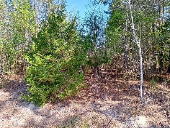 4th image of 521 W Deer Rd