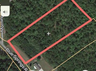 0 Blue Springs Branch Rd, Vanceburg, KY 41179