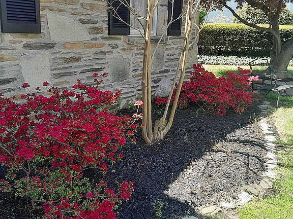 4th image of 698 Renz St