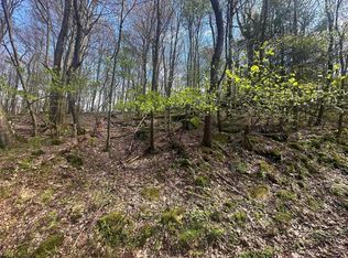 94 Day Lily Cir, Terra Alta, WV 26764