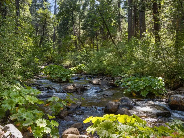 12625 Zeibright Rd, Nevada City, CA 95959