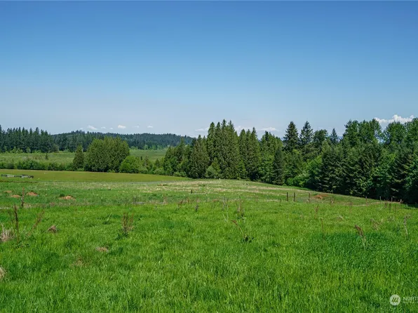 0 Lot 3 Carnine Road, Castle Rock, WA 98611