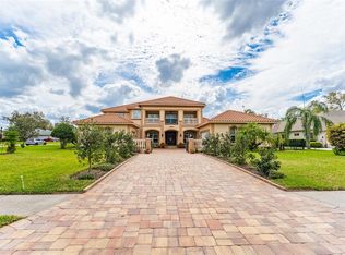 6021 Flatwoods Manor Cir, Lithia, FL 33547