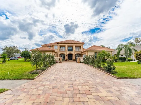 6021 Flatwoods Manor Cir, Lithia, FL 33547
