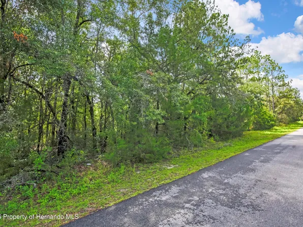 0 English Sparrow Rd, Brooksville, FL 34614