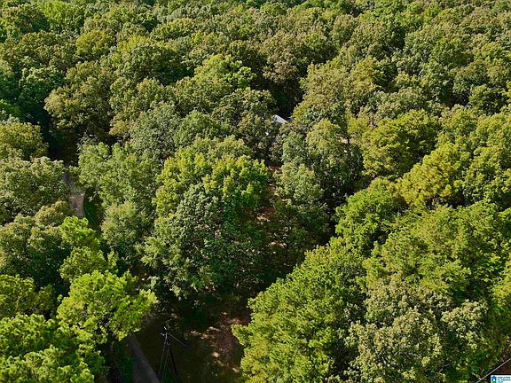 4th image of 5440 Caldwell Mill Rd