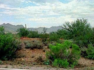 1st image of 2833 N Lloyd Bush Dr #0