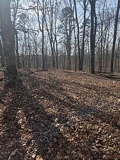 2nd image of 7728 Morgan Estates Rd