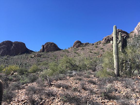 4th image of 5264 S Gold Canyon Dr Lot 5