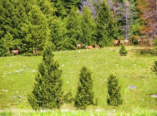 Nhn Moose Lake Rd, Philipsburg, MT 59858