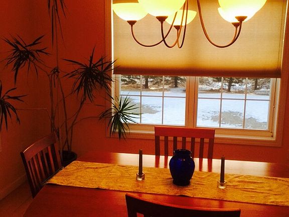 Wood floor, faces trees