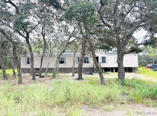 3445 S Race Ave, Lecanto, FL 34461