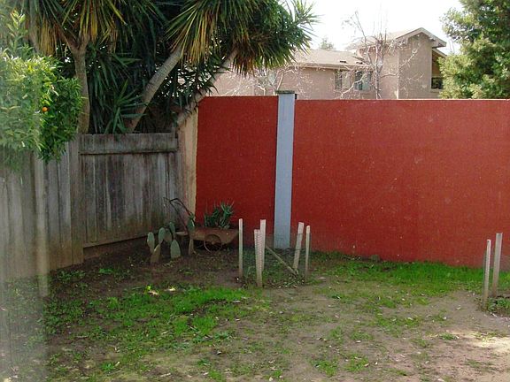 Corner of back yard.