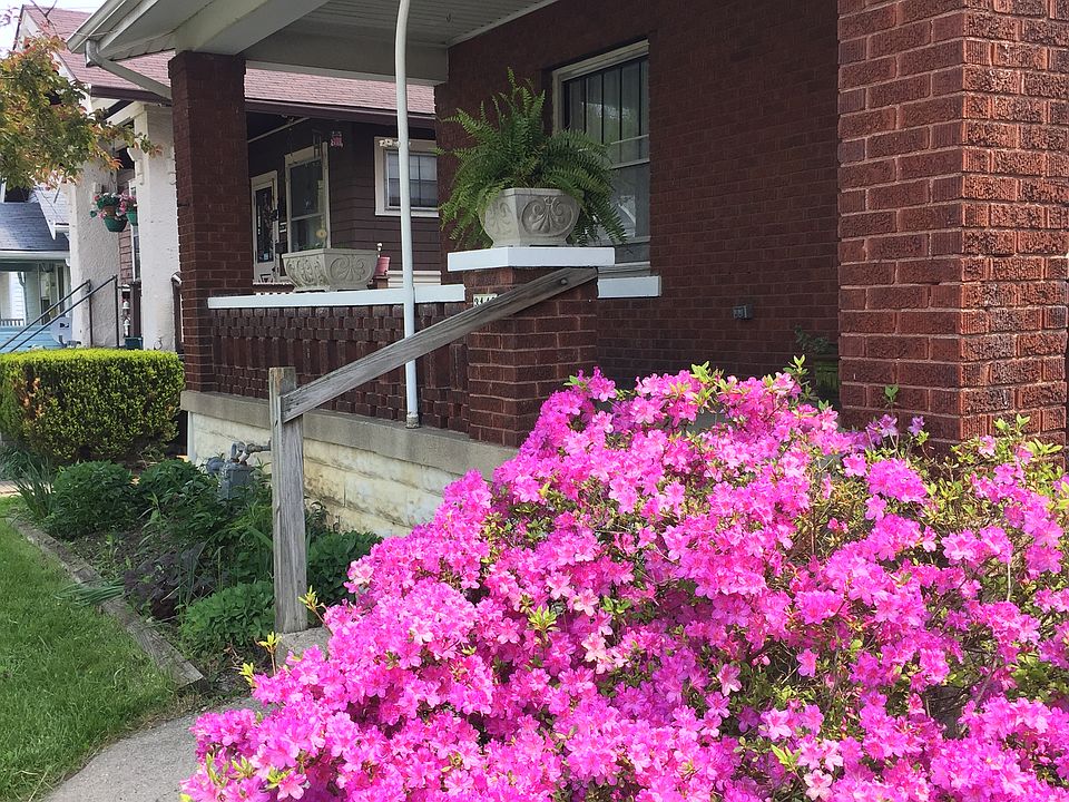 front porch with Azalea