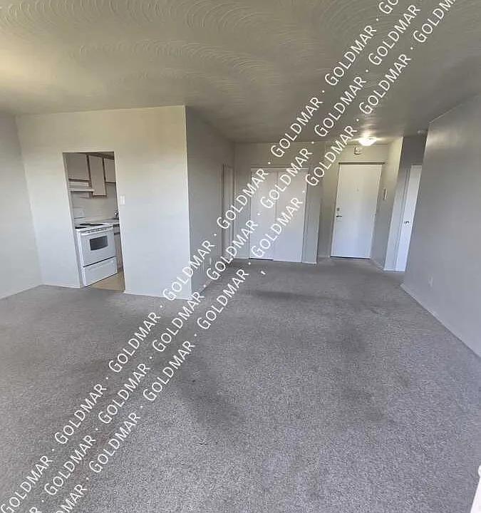 280 Sherk St #226