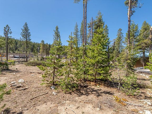 3rd image of 10011 Spruce Ct