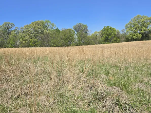 Melanie Ln, Hernando, MS 38632