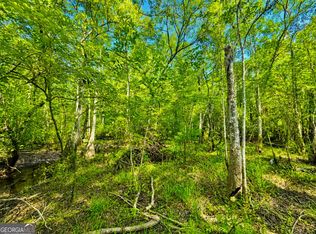 0 Herrin Lake Rd, Nahunta, GA 31553