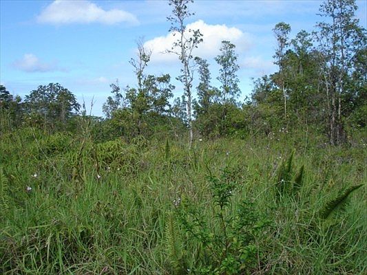 2nd image of 36th Ave Lot 48