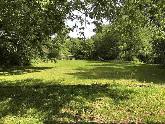 Park-like backyard