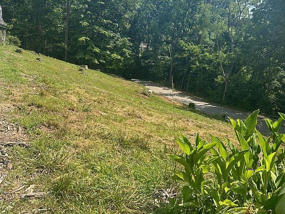 4th image of 219 Hickory Hts Lot 3