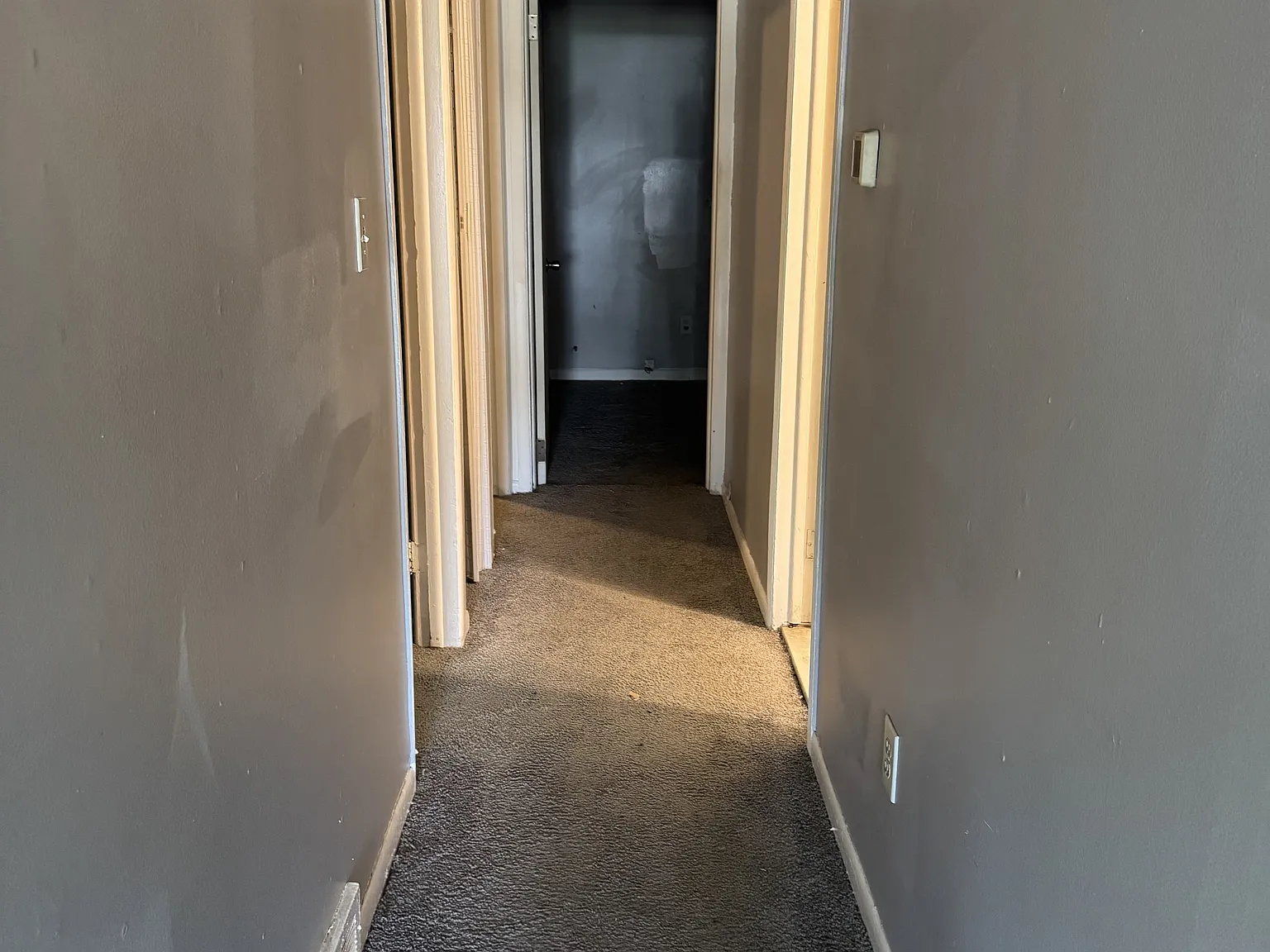 18449 Albany Street - 1 — Photo 3