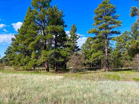 2nd image of 715 Oxbow Circle