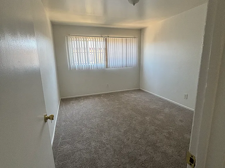2341 Walnut Ave #4 — Photo 3